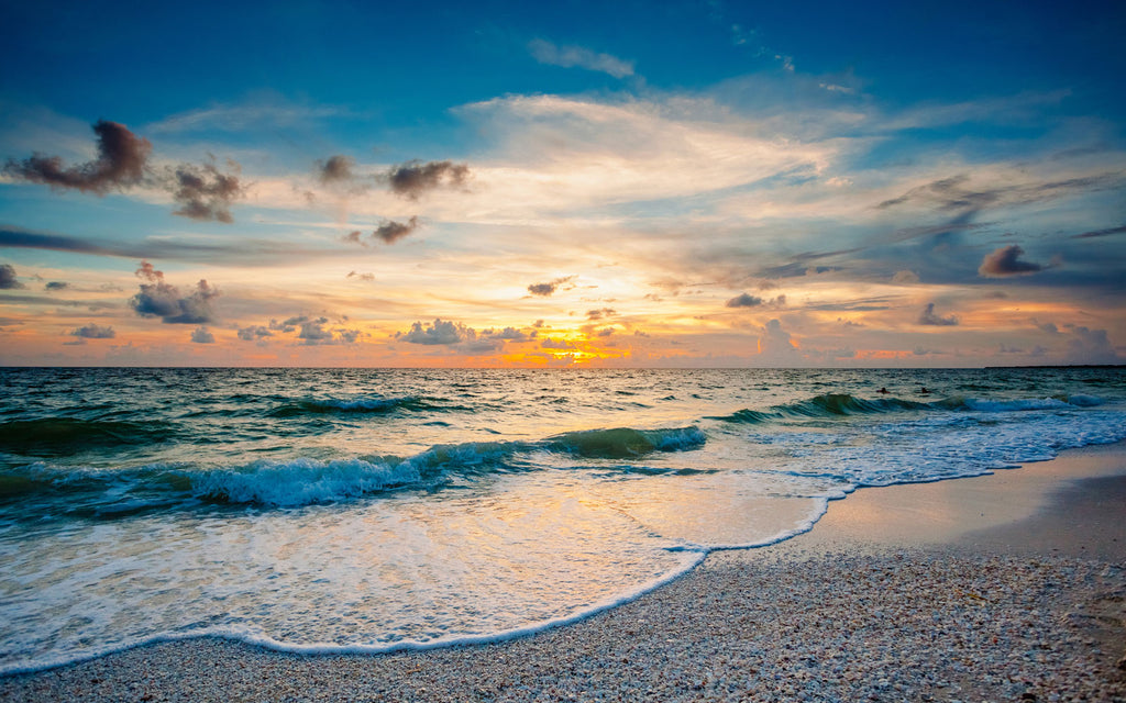 Fall in Love with the Gulf of Mexico