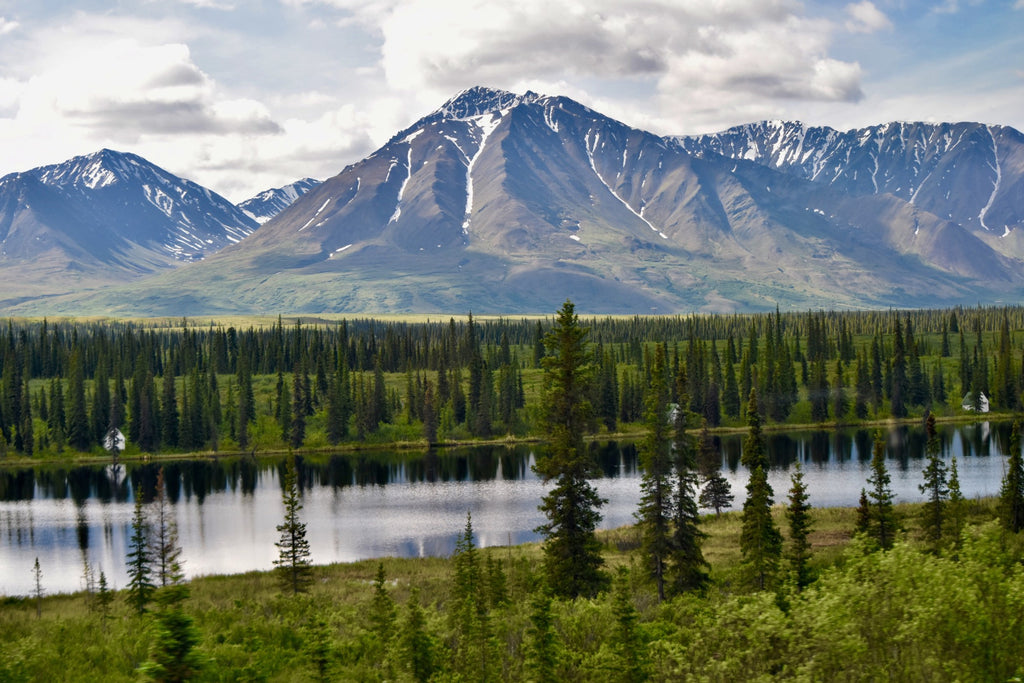 Your Travel Guide to Alaska