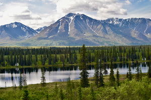 Your Travel Guide to Alaska