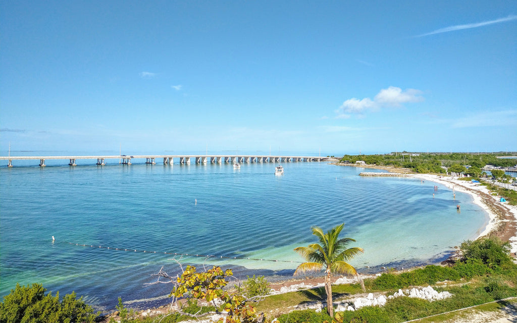 Fun in the Sun with 3D Florida Maps